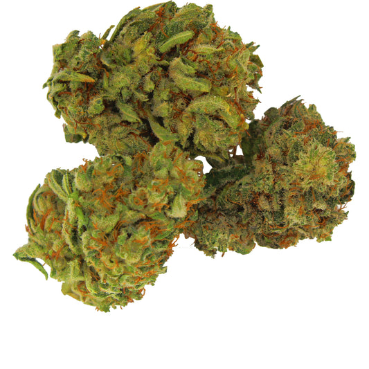 Wholesale CBD Clones - Plants, Clippings - Charas, LLC - Charas.io